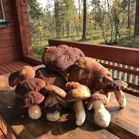 Chalet Arran- Mainiot Majat