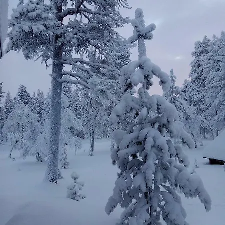 Chalet Arran- Mainiot Majat * ساريسيلكا